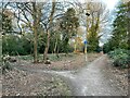 Cycle track in Queen Elizabeth Park