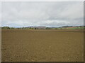 Large field near Black Law