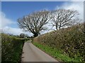 Lane, to the west of Regilbury Court