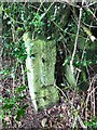 Vernon Lane Bench Mark