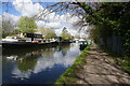 Grand Union Canal towards bridge #190