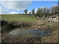 ST6249 : Pond at the end of Tellis Lane by Neil Owen