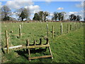 ST6050 : A small plantation on the farm by Neil Owen