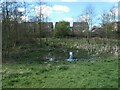 Small pond, Betty Eastwood Park, Crigglestone