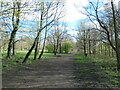 Path junction, Betty Eastwood Park