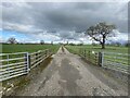 Farm track to Buckley