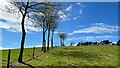 Footpath, fence and trees - heading WSW