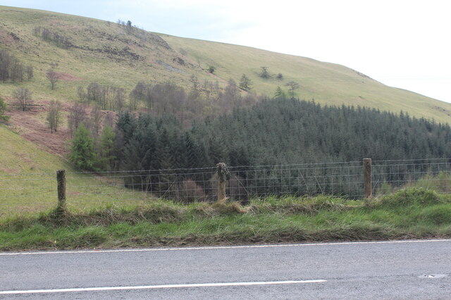 Hillside plantation below A482
