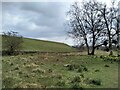 Below the reservoir dam