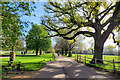 Bushy Park at New Lodge Gate