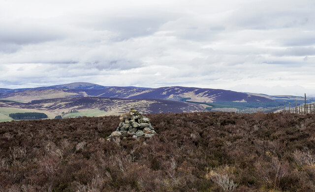 Cairn set on heather at summit of Druim Dearg