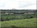 Lake in Portrack Marshes