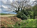 Byway and Fields near Holbeck