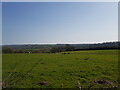 The countryside at Penblewin, Pembrokeshire