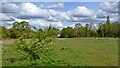 Grove Farm Nature Reserve