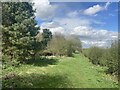 Byway and Wooded Area near South Carr Farm