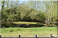 TQ0591 : Pond by Hill End Rd by N Chadwick