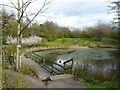 Northern margin of a pool in Old Park