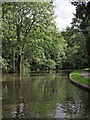 Trent and Mersey Canal near Trentham, Stoke-on-Trent