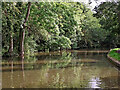 Trent and Mersey Canal near Trentham, Stoke-on-Trent