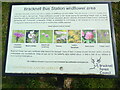 Close-up view of wildflower information board at Bracknell Bus Station