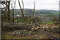 SD8264 : Fallen trees, Langcliffe by Ian Taylor