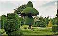 SD4985 : Levens Hall Topiary by Kevin Waterhouse