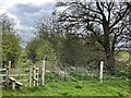 Welbatch Pit Mound, near Hook-a-Gate