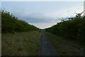 Cycle path and overhead cables