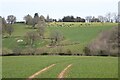 SO6558 : Farmland at Edvin Loach by Philip Halling