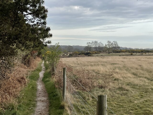 The Sandlings Walk, North Warren