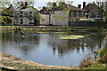 Harefield Pond