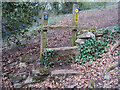 Stone Stile, Thrupp