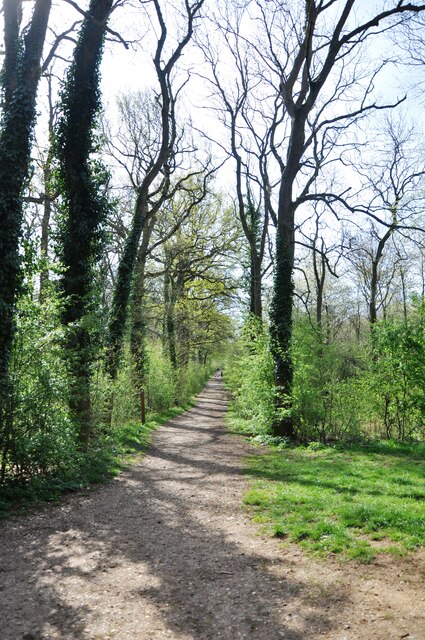 Path in Maulden Wood