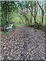 Bridleway running down to Vane Coppice