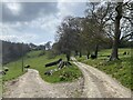 Junction of farm tracks