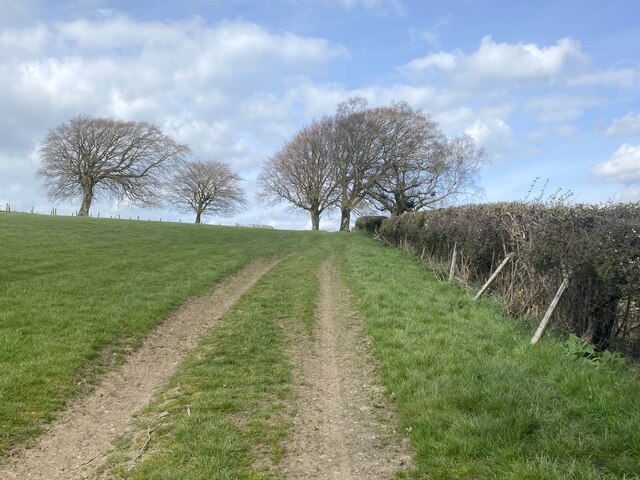 Tractor tracks along field edge
