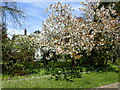 The London Loop along Priory Drive