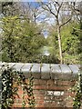 Bridge over former train track near Hanwood