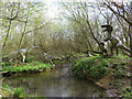 Dinosaurs in Birdland, Bourton-on-the-Water