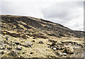 NO1768 : Bouldery slope above Glen Beanie by Trevor Littlewood
