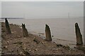 Rotting Posts on the muddy Humber Shore