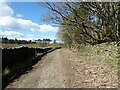SD3678 : Track near Yaw Yeat Wood by Adrian Taylor