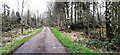 Track into Cleughfoot Wood