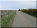 Dry mud on the C5S (Aberdeenshire) Road