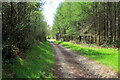 Ceuffordd ger Rock Farm / Byway near Rock Farm