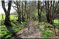 Trac ger Allt Llwynywermwd / Track near Allt Llwynywormwood