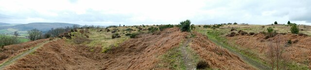 Bury Ditches (Iron Age Hill Fort)