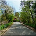 Spring Blossom on Church Street, Wetheringsett