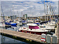 SX4854 : Sutton Harbour Marina by David Dixon